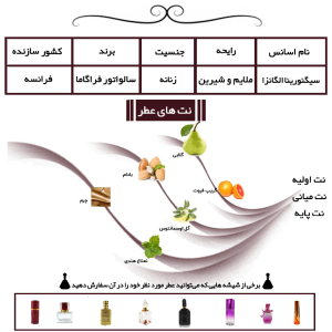 عطر سالواتوره فراگامو سیگنورینا الگانزا