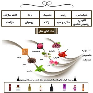 عطر آنتونیو روسینی گلامور