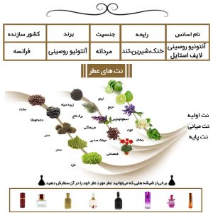 عطر آنتونیو روسینی لایف استایل