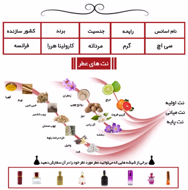 سی اچ مردانه