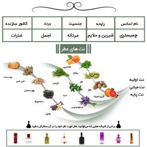 عطر مردانه چمیستری اجمل Chemistry Ajmal