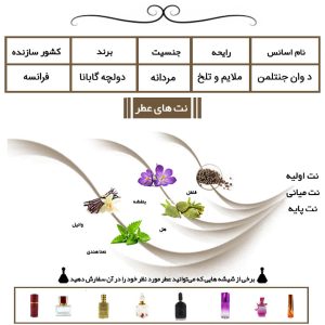 عطر مردانه د وان جنتلمن