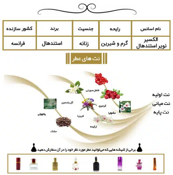 الکسیر نویر استندهال
