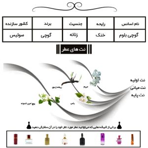 عطر گوچی بلوم Gucci Bloom