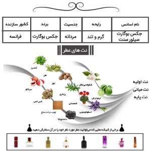 عطر جکس بوگارت سیلور سنت