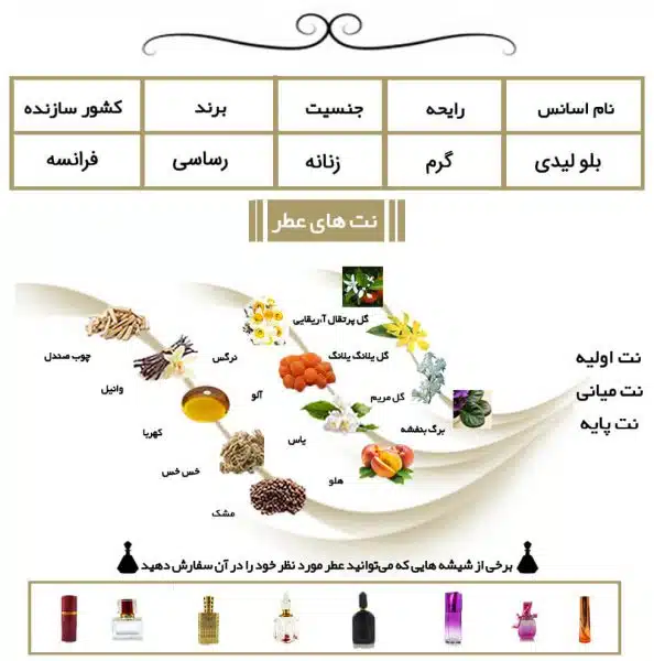 بلو لیدی