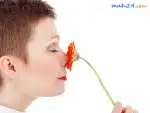 رابطه انسان باعطر