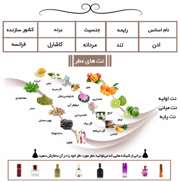 ادن