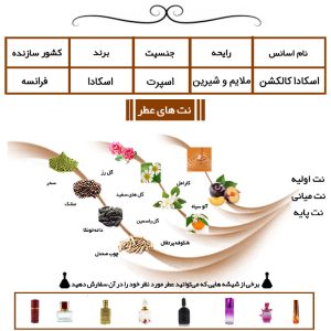 عطر اسکادا کالکشن