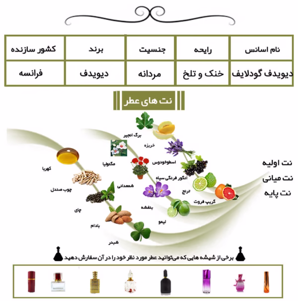 دیویدف گودلایف