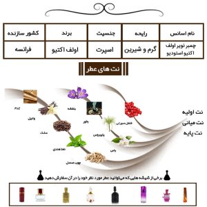 عطر چمبر نویر اولف اکتیو استودیو