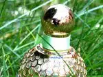 شرایط نگهداری عطر به چه صورت است؟ | روش صحیح نگهداری