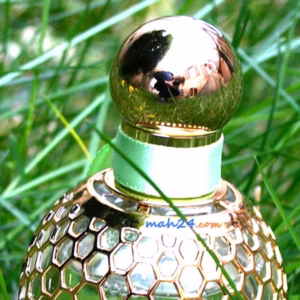 شرایط نگهداری عطر به چه صورت است؟ | روش صحیح نگهداری
