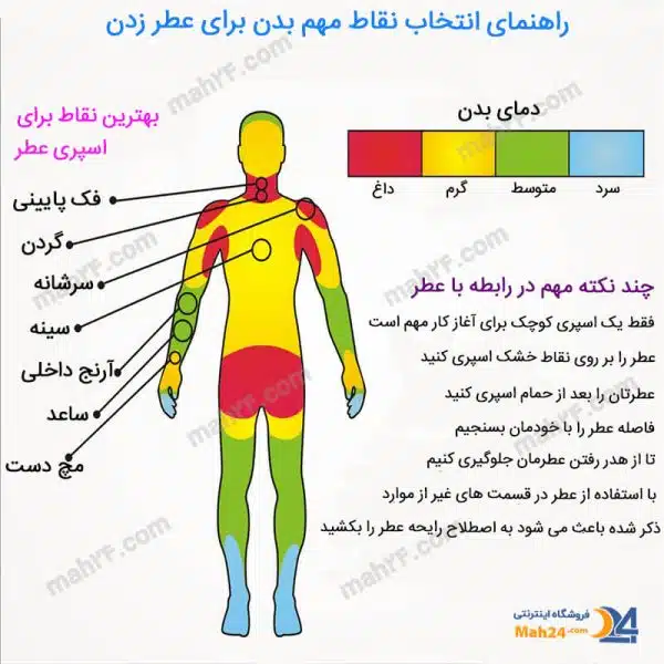 راهنمای نقاط مهم بدن برای عطر زدن