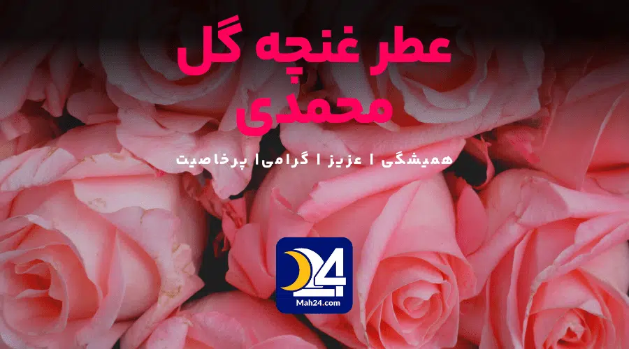 عطر غنچه گل محمدی