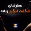 عطرهای شگفت انگیز زنانه