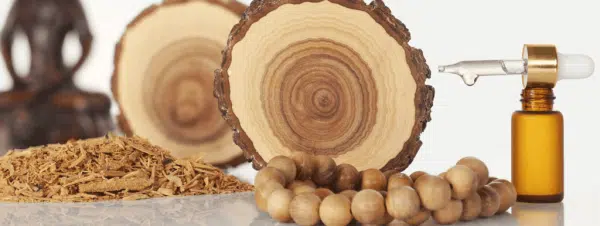 عطرهای چوبی