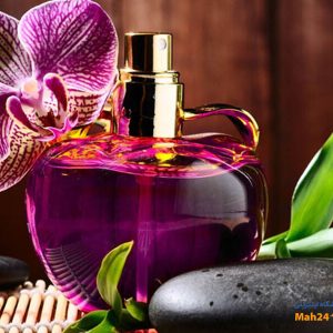 پایه های رایحه عطر